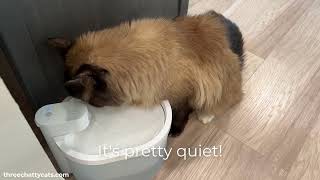 Smart Pet Fountain - Loudness Test by Three Chatty Cats 254 views 7 months ago 14 seconds