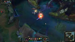 SAMIRA NICE CHAMP (bug)
