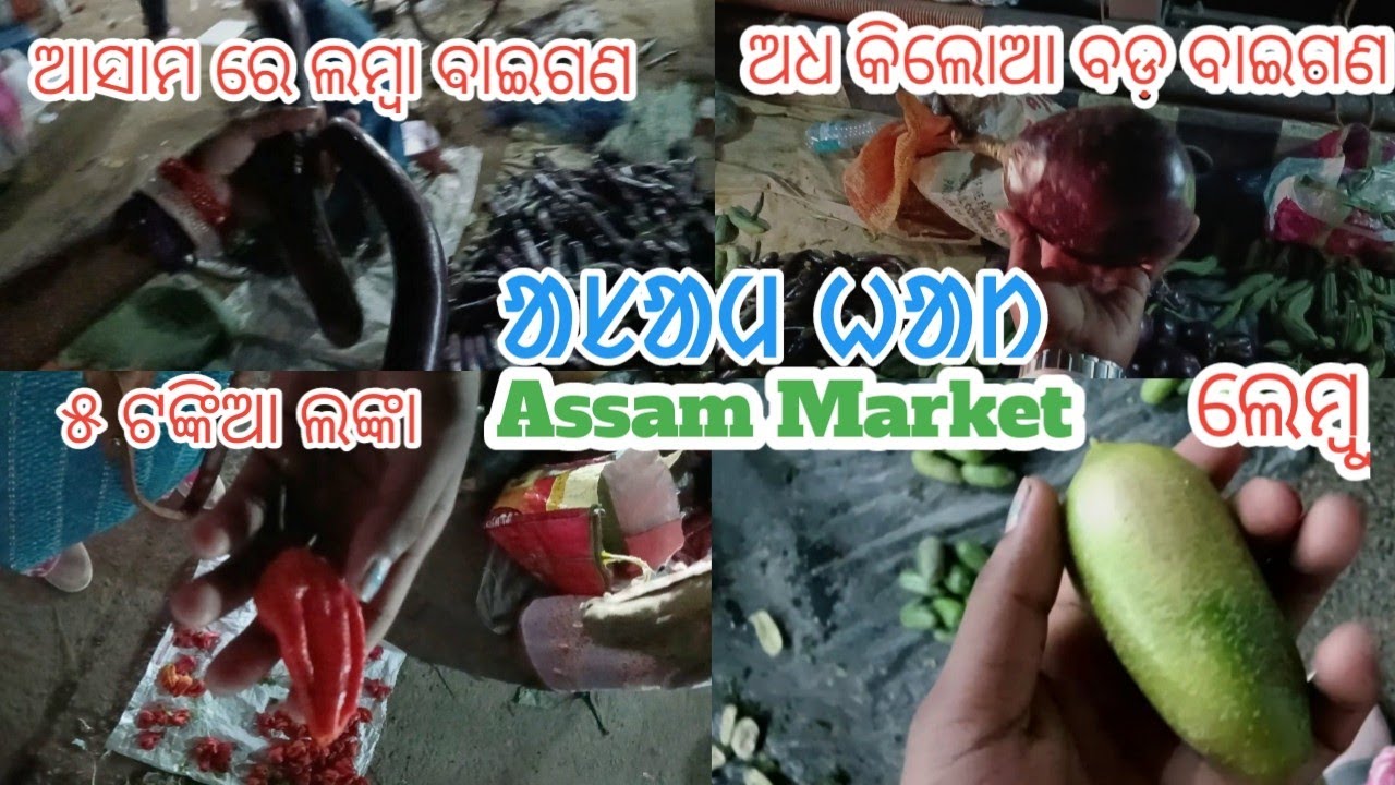 Exploring Assam's Vibrant Vegetable Market: Kaji Nemu, King Chili, and Long Brinjals! 2026