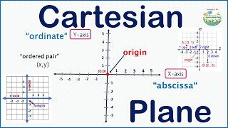 Understanding the Cartesian Plane | From Axes to Coordinates