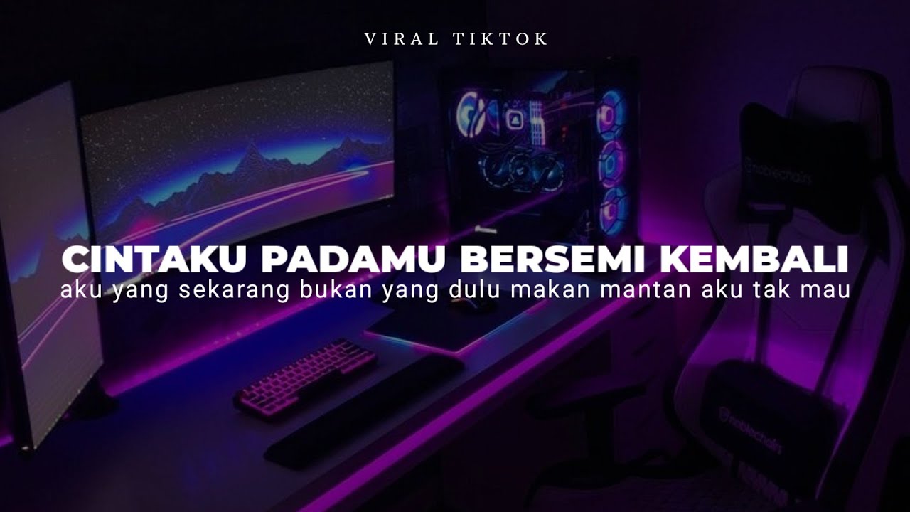 DJ CLBK CINTAKU PADAMU BERSEMI KEMBALI VIRAL TIKTOK ( DJ AKU YANG SEKARANG BUKAN YANG DULU )