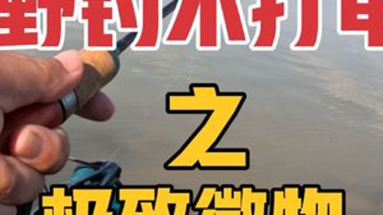 路亚新手也能一直连竿到手软的钓法，都能看见海鲈冲出来咬饵！ #微物路亚 #野钓路亚 #路亚海鲈