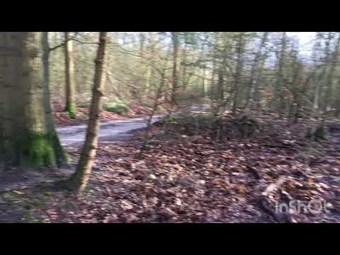 middelpunt van nederland en de bostoren van Putten