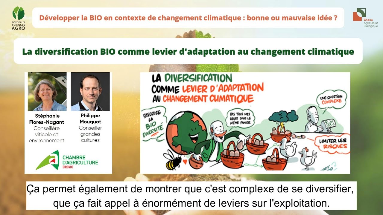 [Témoignage] La diversification BIO comme levier d'adaptation au changement climatique