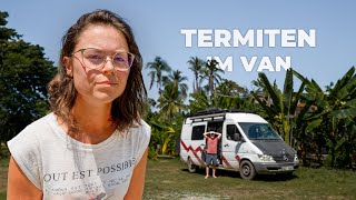 ENDLICH IN COSTA RICA | Mit giftigen Tieren vor der Haustür | Overlanding Costa Rica | #132