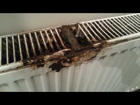 Зверская сушилка для рук Зверская сушилка для рук