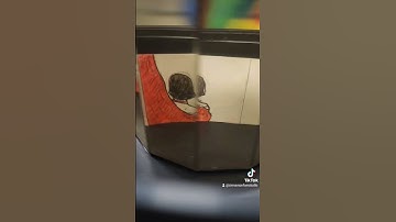 Art Final Assignment 2 : Spinning Lady with Red Shawl #traditionalart #college #animation #ocart