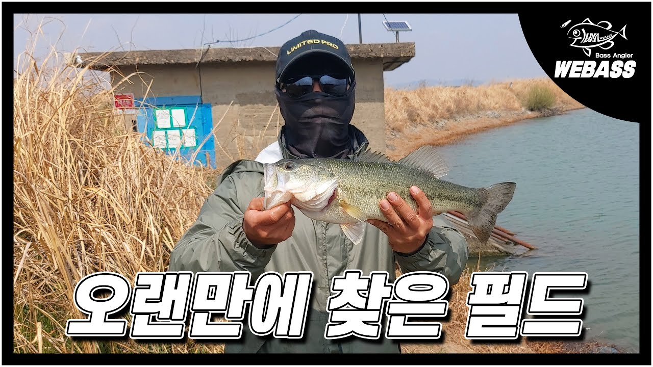 [배스낚시] 오랜만에 찾은 필드에서 봄 배스 만나고 왔어요. Ep.216 위배스