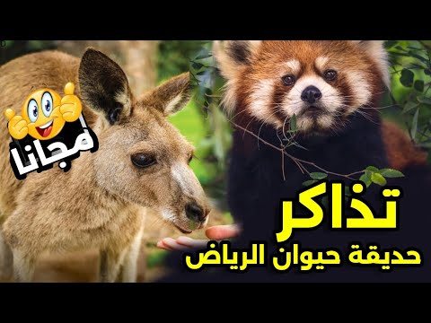 طريقة حجز تذاكر حديقة الحيوان بالرياض 1445 2024 ونصائح مهمة