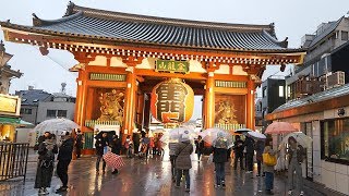 4K・ 【4K】Night walk at rainy Tokyo Asakusa