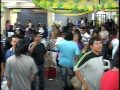 papilon mix enlace