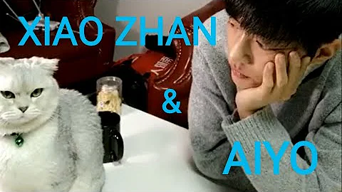[ENG SUB] 20161214 Xiao Zhan livestream with cat Aiyo (1 hour version) 肖战如何花一小时征服一只猫 - DayDayNews