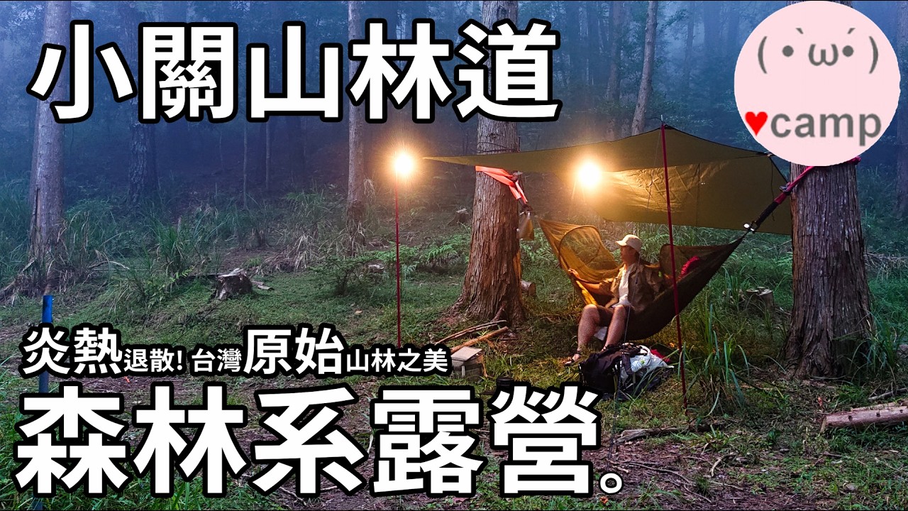 夏季小關山林道森林系野營，台灣原始森林之美🌲吊床露營剛剛好[204]  