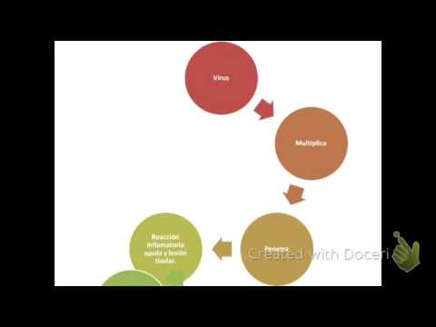 video phone beyonce mp3 Resfriado-comn-vs-Faringoamigdalitis-UVM-YouTube