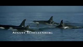 01. Main Titles (Free Willy 2 / 1995) Soundtrack