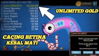 Cara Hack WORMS ZONE .IO 2020 | Unlimited Gold,  No Root Android screenshot 3