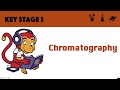 Chromatography Quiz