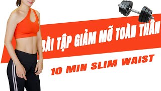 💯Bài Tập Thể Dục Giảm Mỡ Bụng💯Bài tập THU NHỎ CHÂN & Vòng Eo Thon Gọn HIỆU QUẢ 10 Min SLIM WAIST