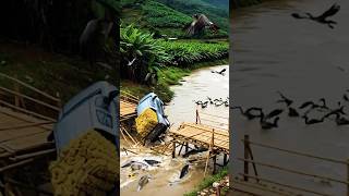 🚙🍌 When the Bridge Gives Up Banana Truck’s River Crash! 🌊 #bananatruck #viralvideo