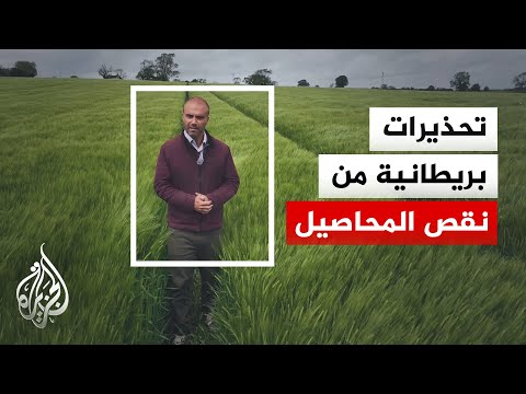 بريطانيا.. تكاليف الإنتاج الزراعي تقفز بنحو 70% بسبب نقص الأسمدة