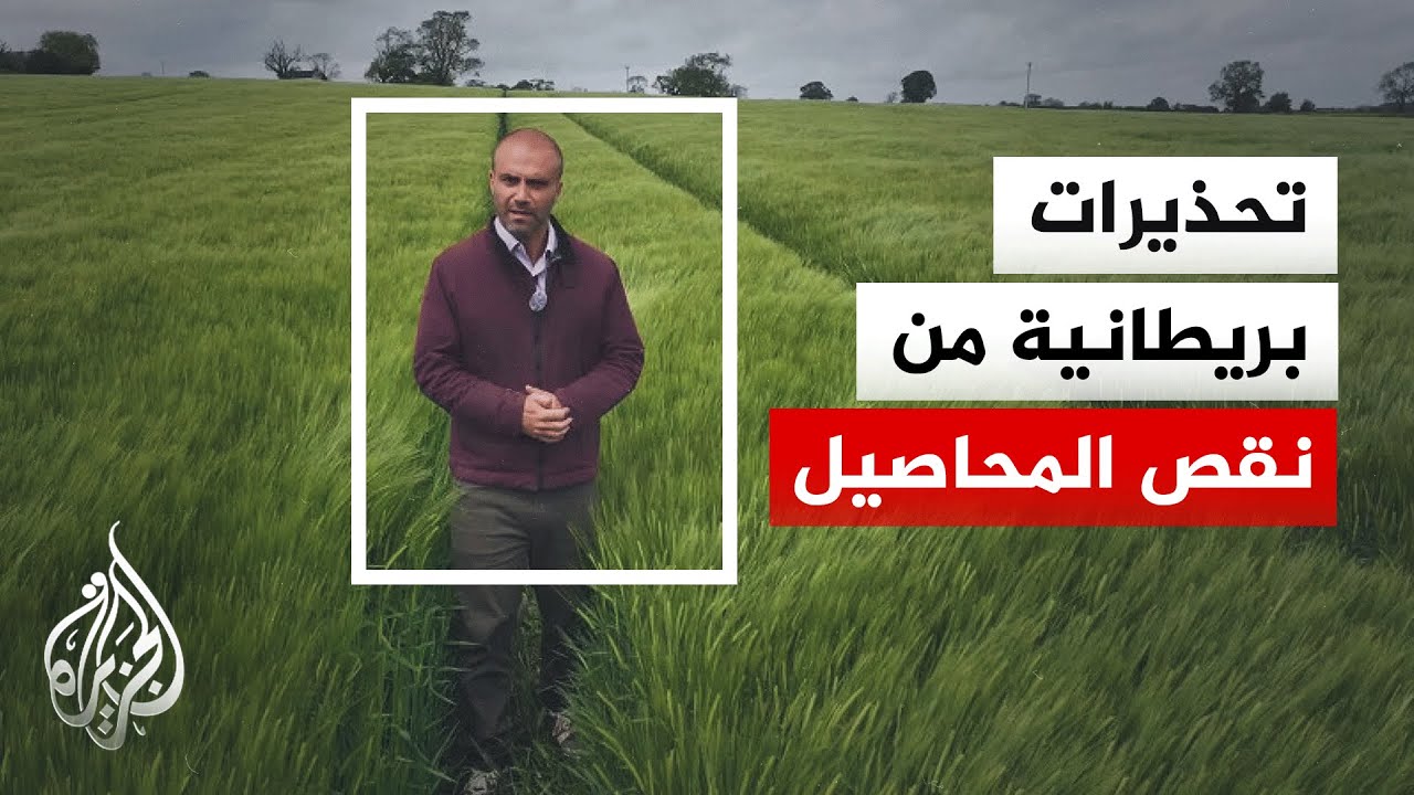 ��������.. ������ ������� ������� ���� ���� 70% ���� ��� �������
 - نشر قبل 2 ساعة