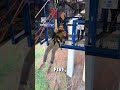 Bungee jump reactions 😂          🎥: TikTok / highlandfling