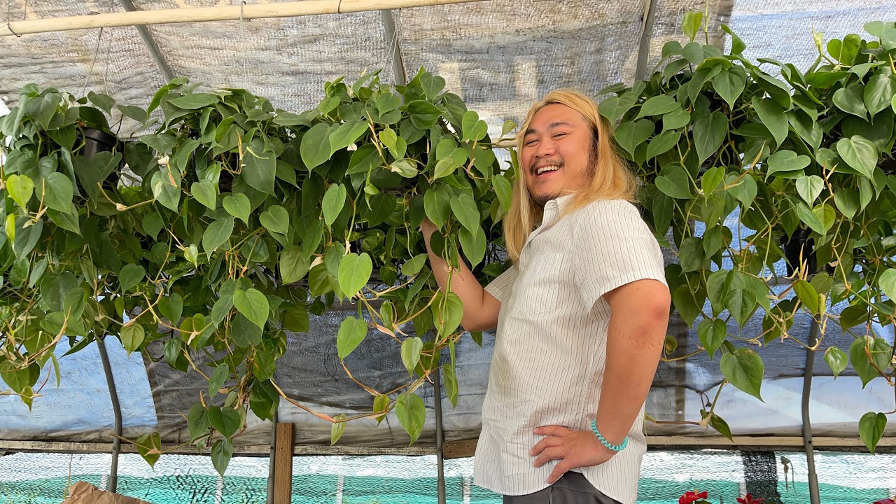 Вот как выглядит справедливое ценообразование! (Покупка растений в 2022 году)