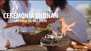 Ceremonia prehispánica Xilonan 'La esencia del maíz tierno' by Trip in México 782 views 3 years ago 6 minutes, 13 seconds