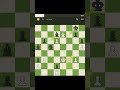 Knight brilliant #shorts #youtubeshorts