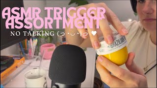 ASMR Trigger Assortment - no talking ✨ (tapping, hand sounds, mic brushing +)