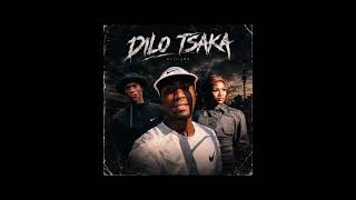 Dilo tsaka by Natie lepaka & zoli whitesmoke ft Aofishehlaka stellebosh [ type beat]
