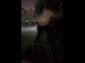 jumping out the window #meme #memes #funnymemes #funny