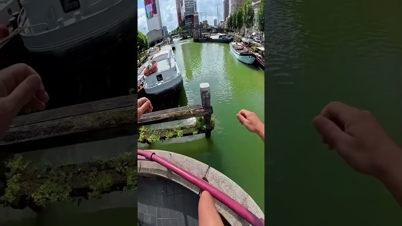 Wild Urban Ninja Moves! 🥷 