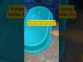 Rahasia tempat makan kucing yang katanya anti semut#catlovers#kucinglucu