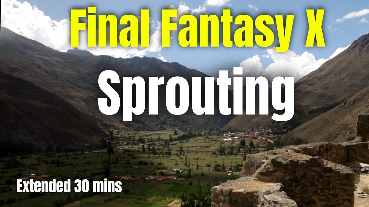 🎵 Final Fantasy X Sprouting HD OST Extended 30 Minutes