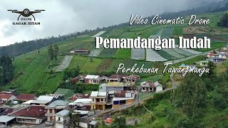 Video Cinematic Drone Pemandangan Perkebunan Tawangmangu | Cinematic Drone Footage Agriculture Land
