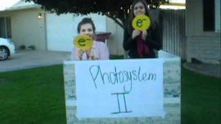 JVKS Photosynthesis Movie.wmv