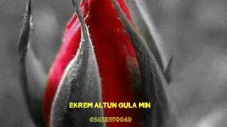 Ekrem Altun Zazaca Gulamin 05458570949 Siz Degerli Dostlara Armagan Olsun