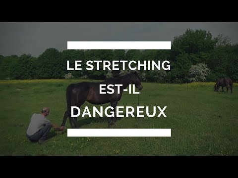 Vidéo: Le dressage est-il mauvais pour les chevaux ?