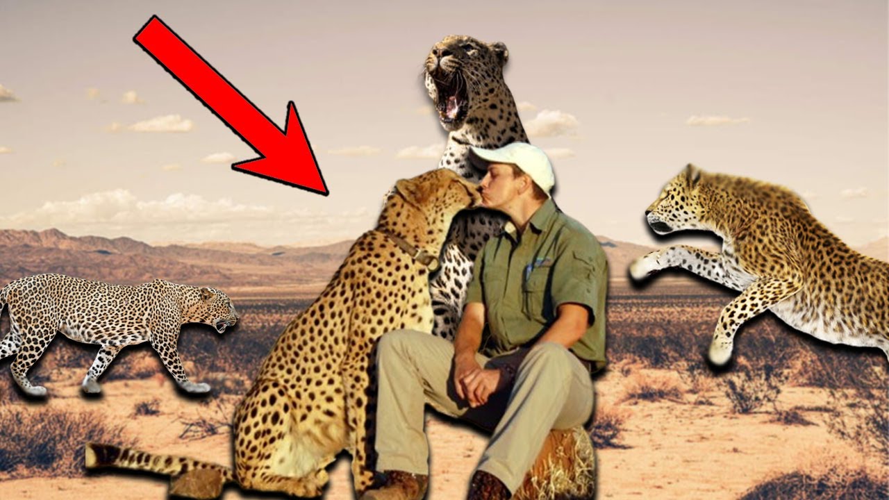 Man's Bond with Leopard Takes an UNBELIVABLE Turn