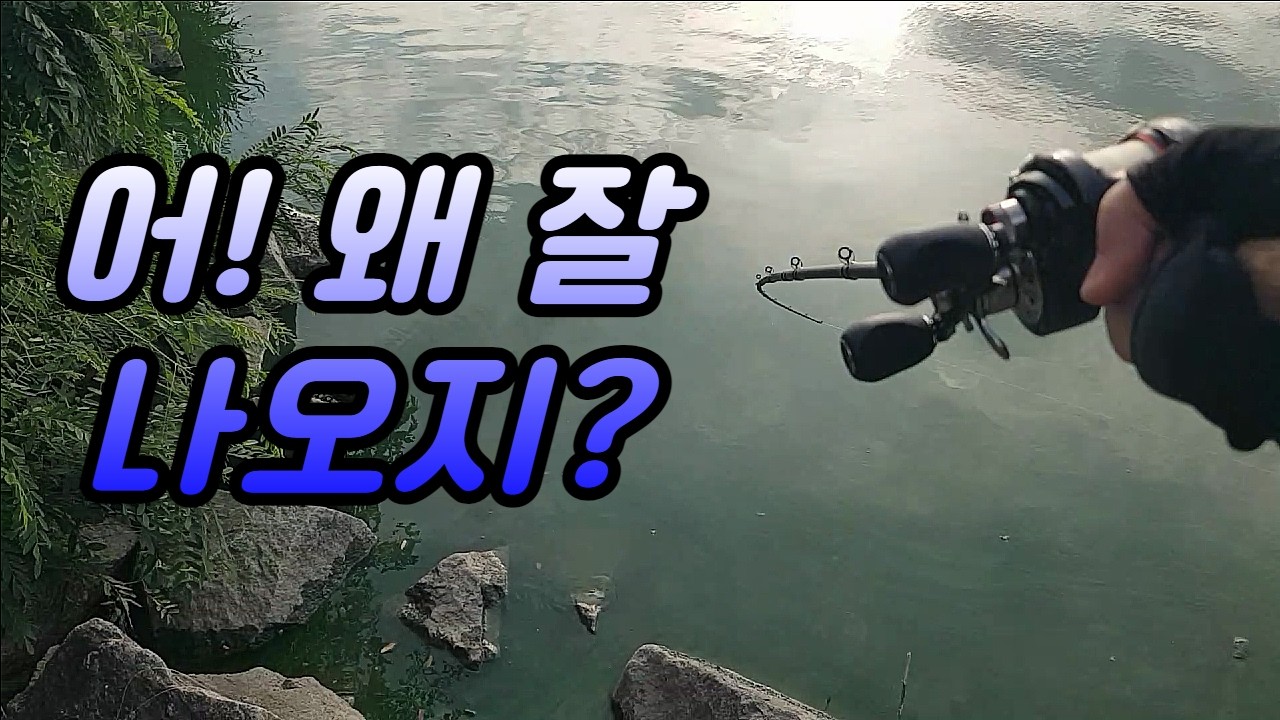 어! 이 더위에 왜 잘 나오지?/배스낚시 Bass fishing