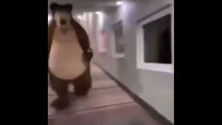 Bear chasing person down hall meme but I added the fnaf 2 hallway ambience
