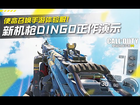 【使命召唤手游】体验服新机枪Dingo正作演示！高射速高机动！#究刺
