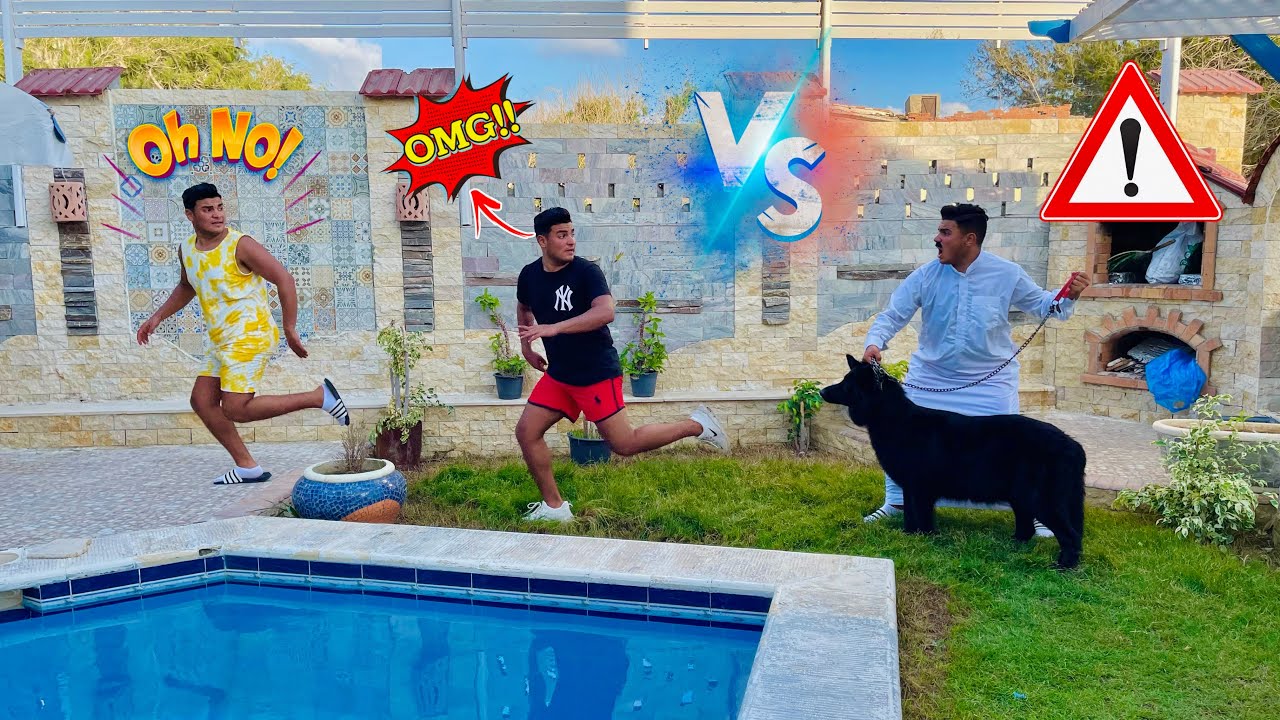 لما ابوك يجيب كلب البيت😂🦮 | سيف عماد