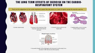 GCSE PE - Flipped Learning - Long-term effects of exercise -