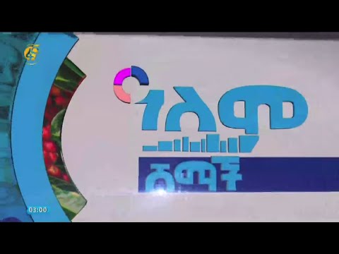 ቪዲዮ: የዘይት መስታወት መቁረጫዎች -እንዴት መጠቀም እና የትኛውን ዘይት መሙላት? የሥራ መርህ እና የሮለር ፈሳሽ መስታወት መቁረጫዎች መሣሪያ ፣ የመስታወት መቆረጥ