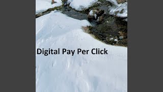 Digital Pay Per Click
