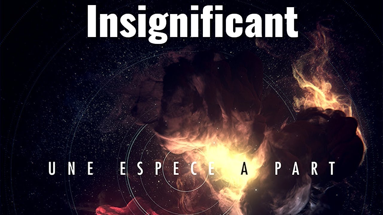 Insignificant Une Espece a Part Soundtrack Tracklist | Une Espece a Part (2019)