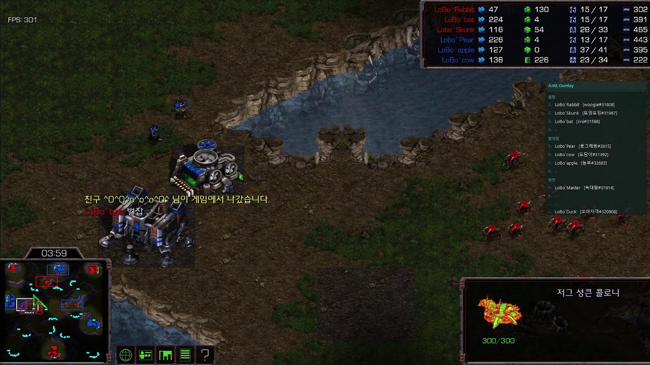 스타팀플 Lobo클랜 중계방송