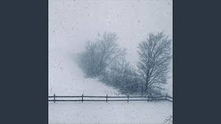 Winter Woods (Live)